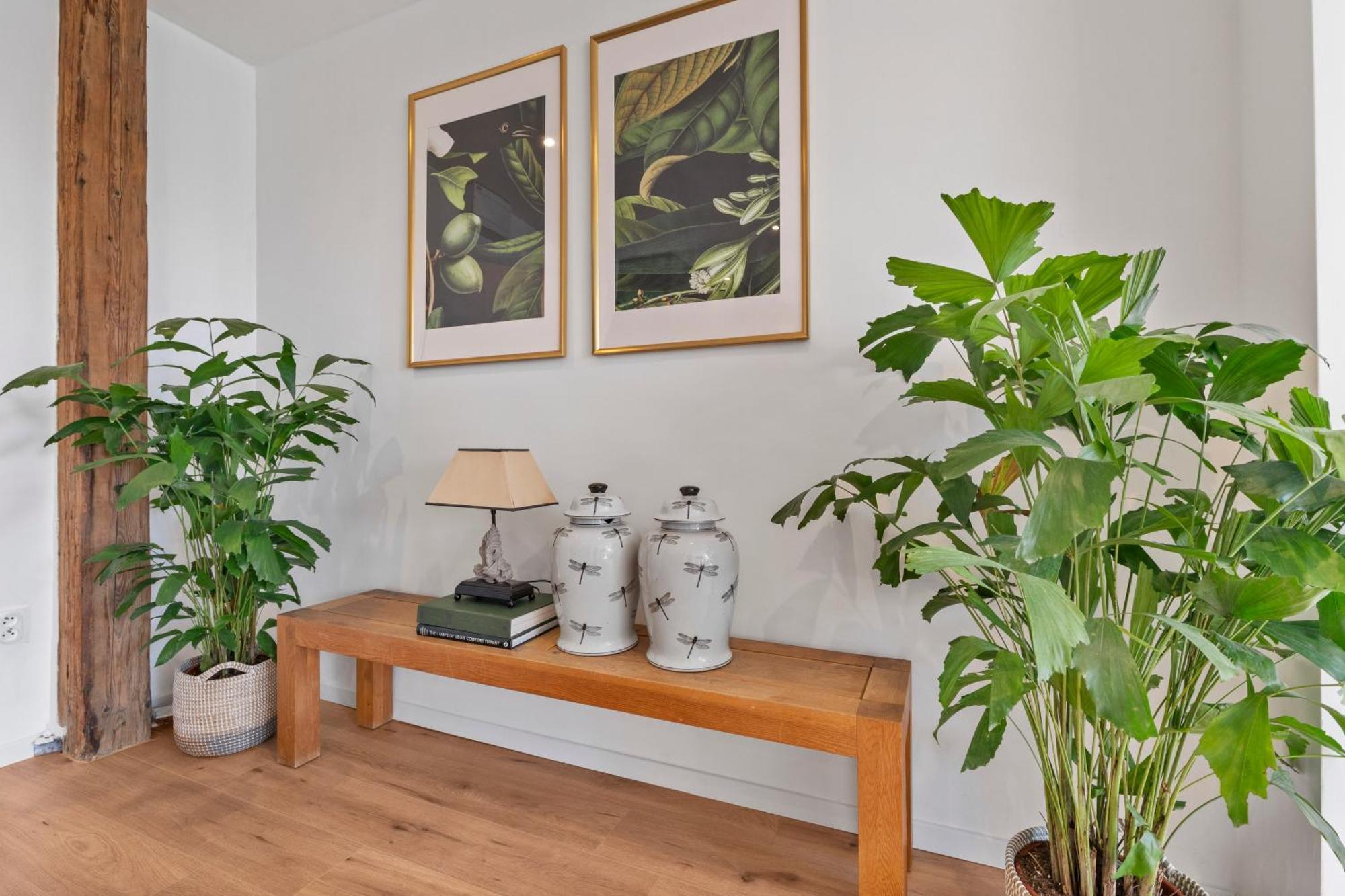 Apartmán Lam Mockingbird - Terrace - Ac *